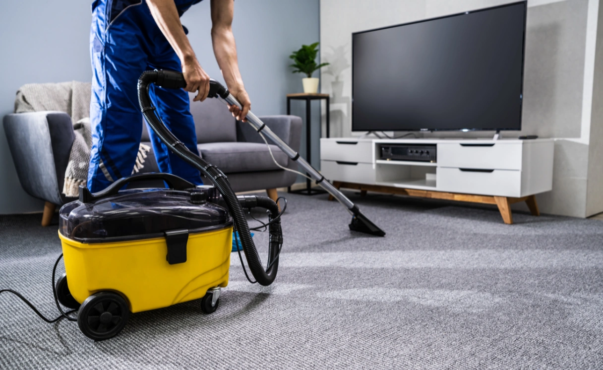 Extract Carpet Cleaning Wallace Contact Office